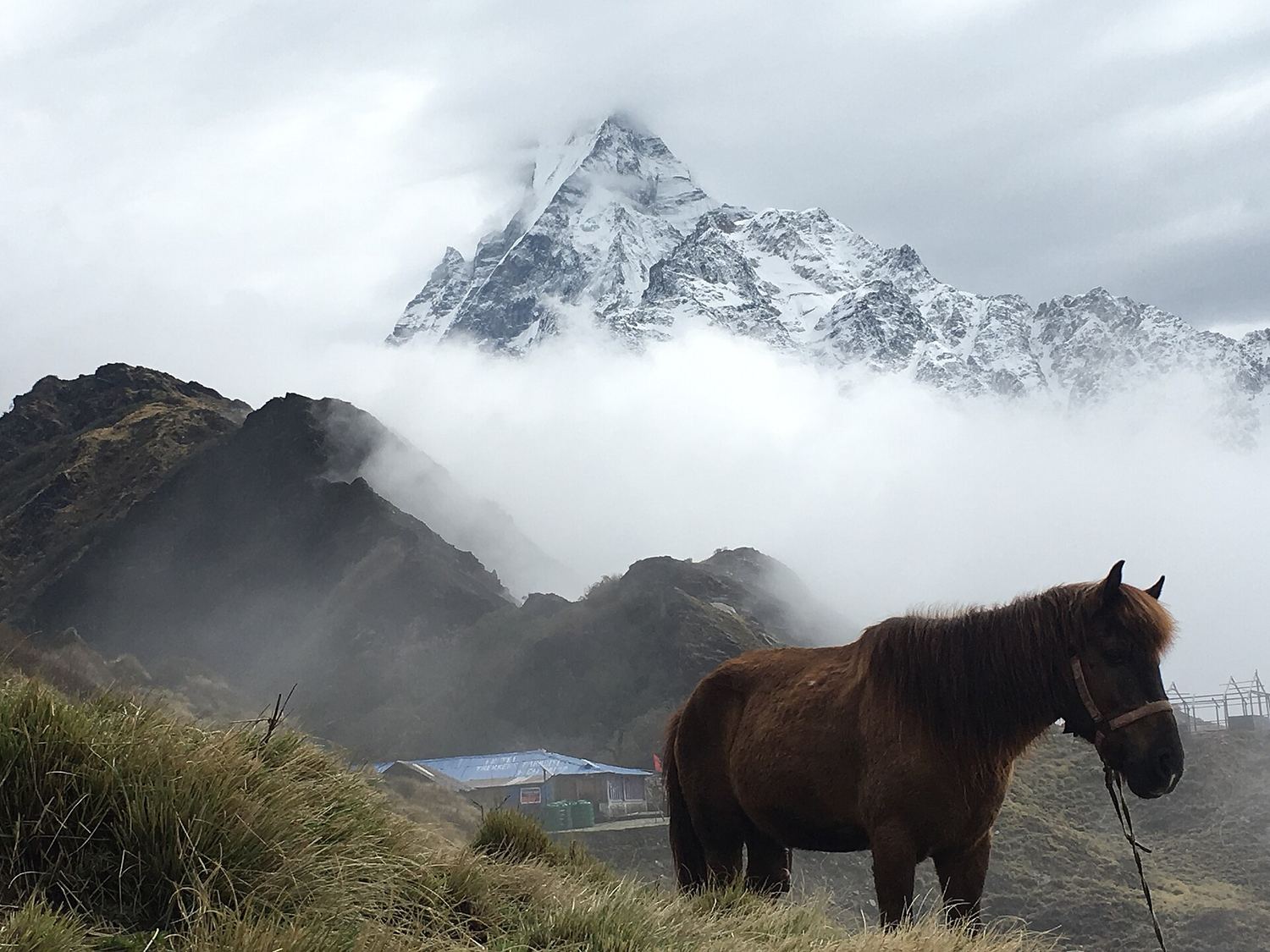 The Mardi Himal ridge trail with Machhapuchhre behind